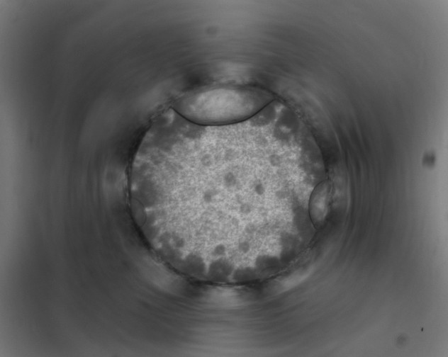 X0000101700523200808071202