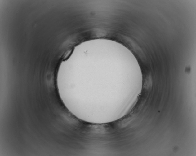 X0000101700524200808071202