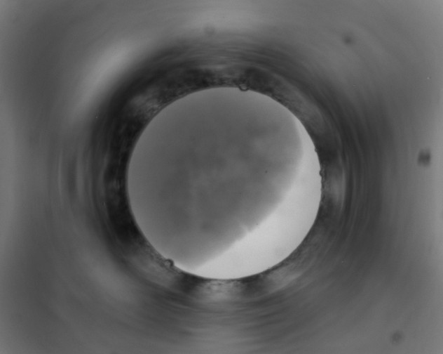 X0000101700526200808071202