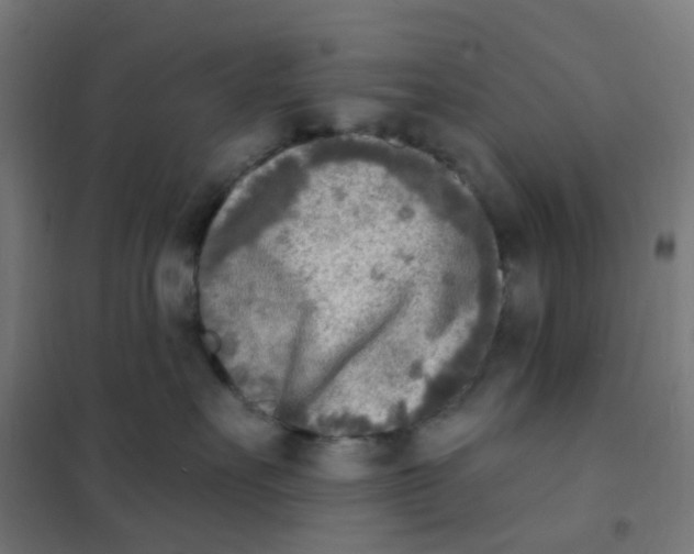 X0000101700527200808071202