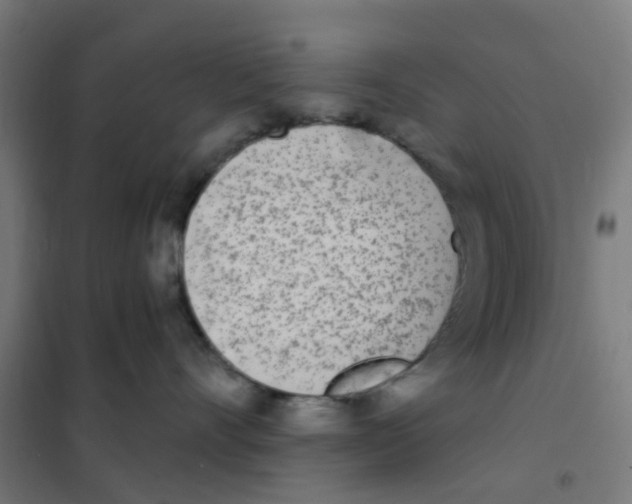 X0000101700528200808071202