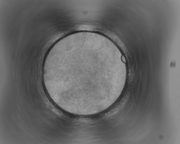 X0000101700529200808071201