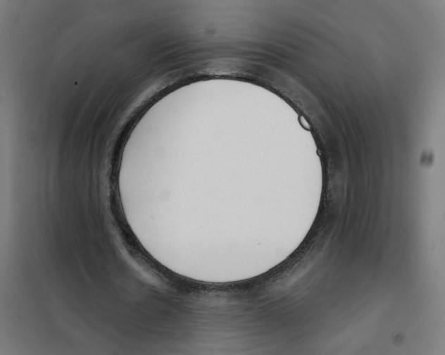 X0000101700530200808071201