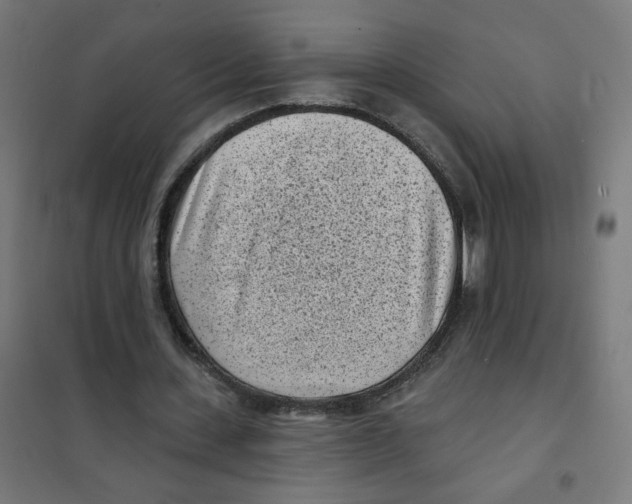 X0000101700531200808071201