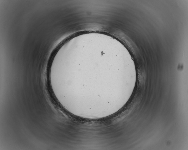 X0000101700532200808071201