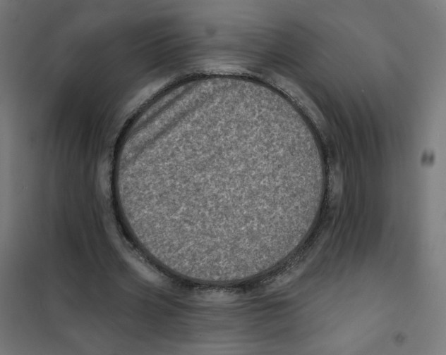 X0000101700533200808071201