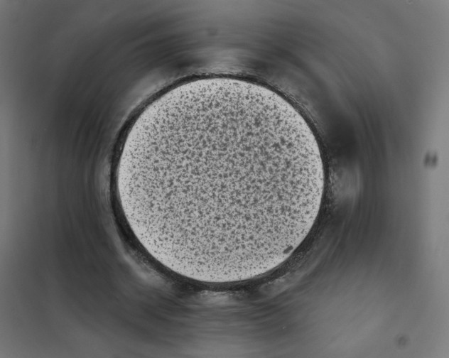 X0000101700534200808071201