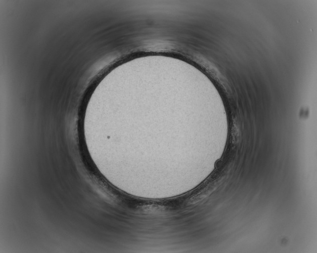 X0000101700535200808071201