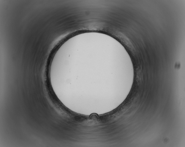 X0000101700536200808071201