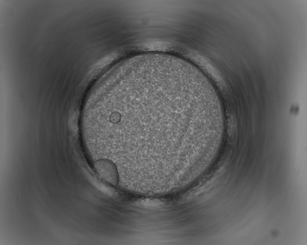 X0000101700537200808071201