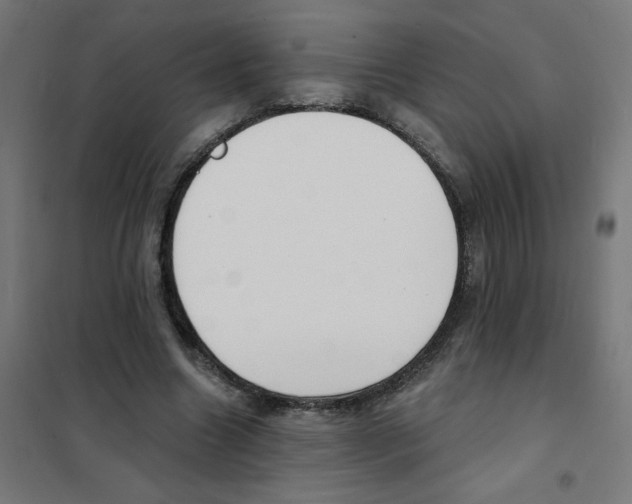 X0000101700538200808071201