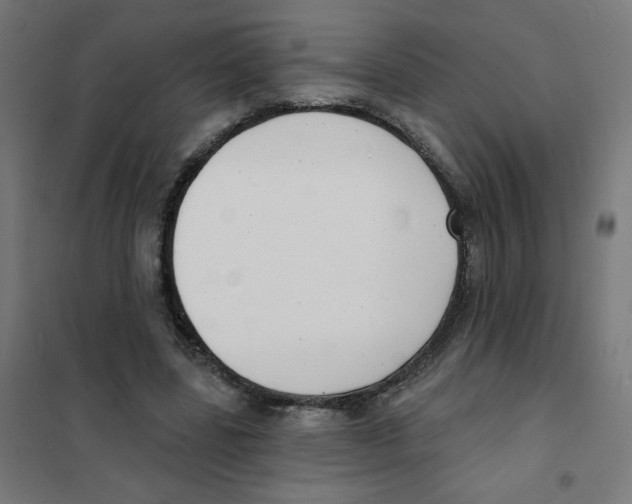 X0000101700539200808071201
