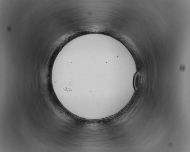 X0000101700540200808071201