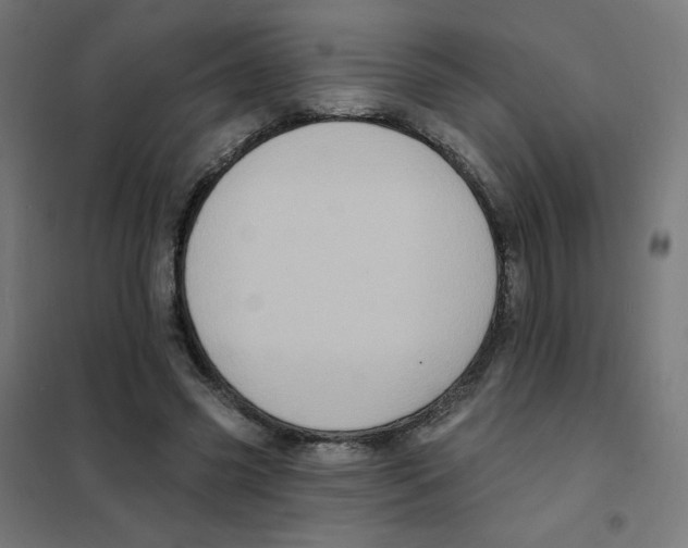 X0000101700541200808071201