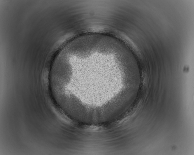 X0000101700542200808071201