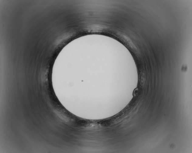 X0000101700543200808071201