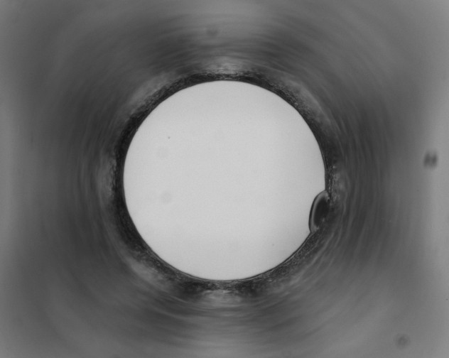 X0000101700544200808071201
