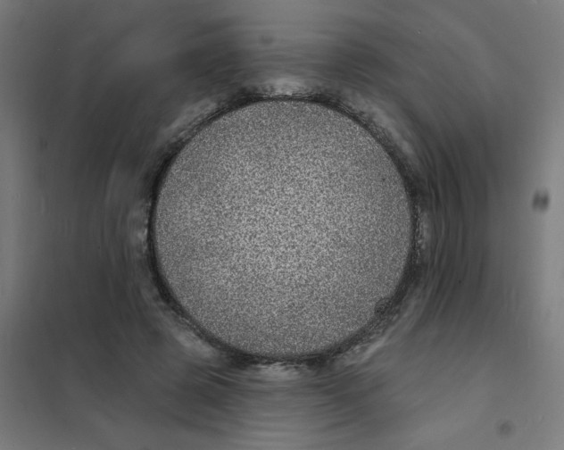 X0000101700545200808071201