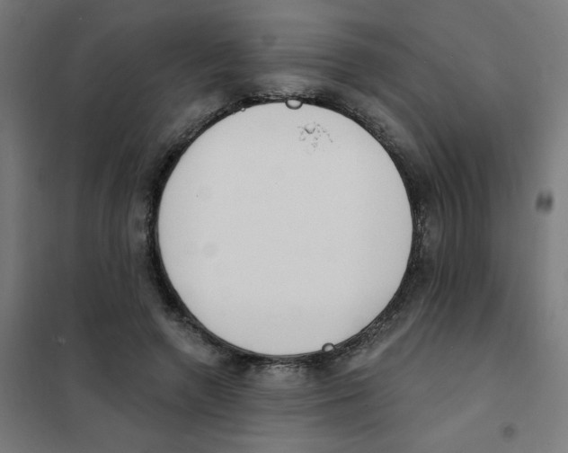 X0000101700546200808071201