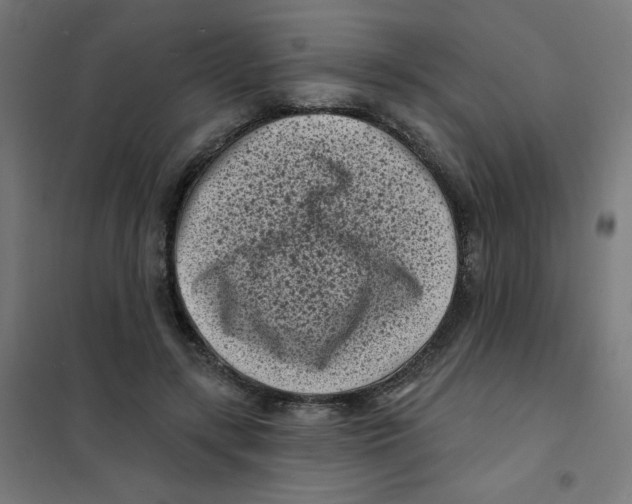 X0000101700547200808071201