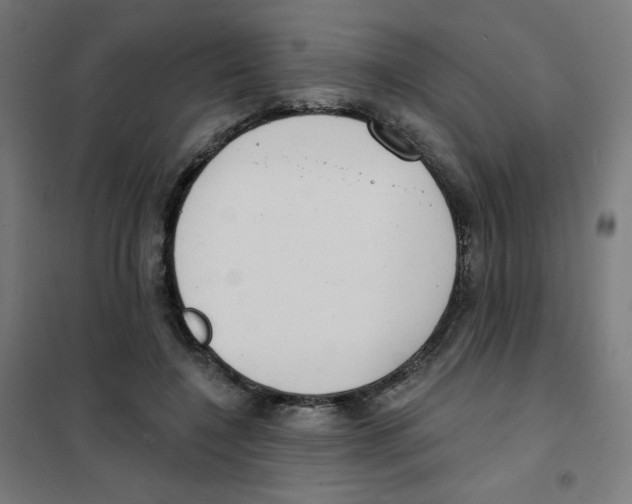 X0000101700548200808071201