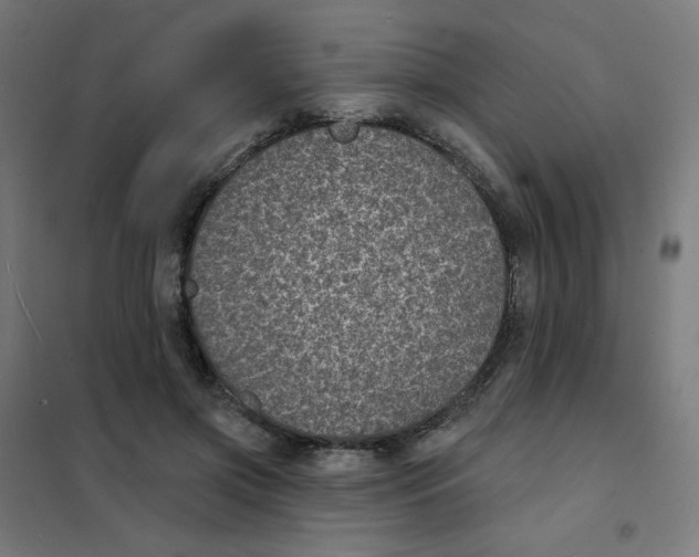 X0000101700549200808071201