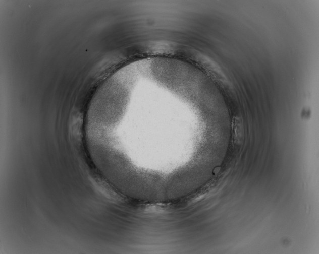 X0000101700550200808071201