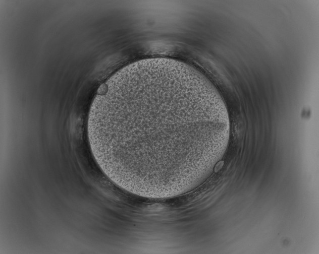 X0000101700551200808071201