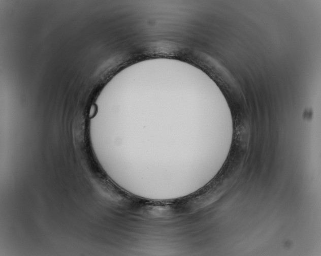 X0000101700552200808071201