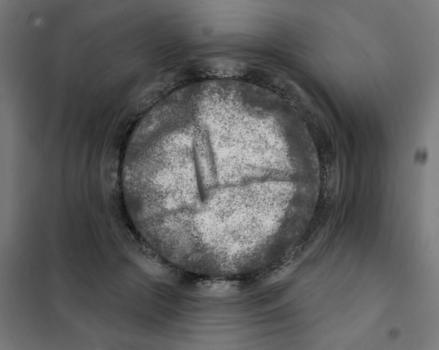 X0000101700553200808071201