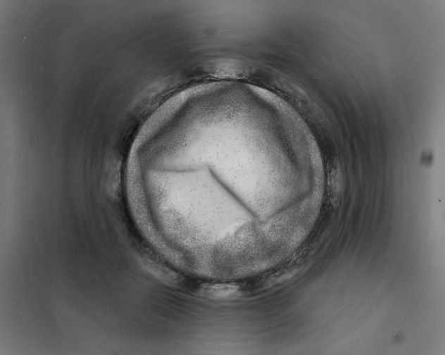X0000101700554200808071201