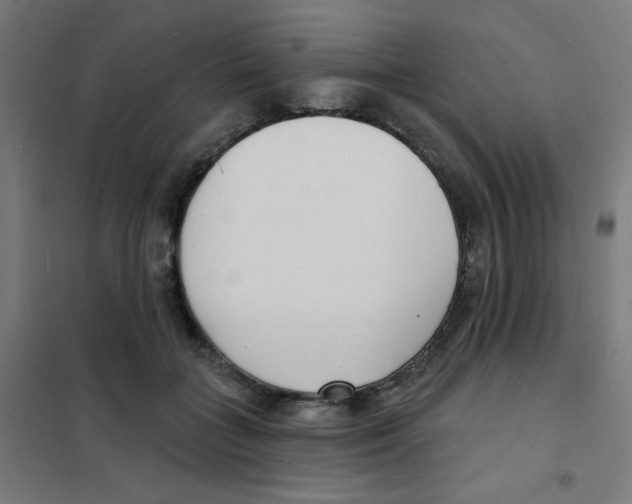 X0000101700555200808071201