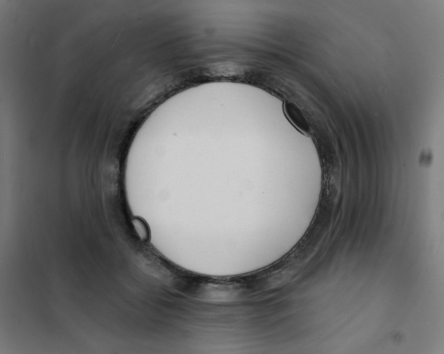 X0000101700556200808071201