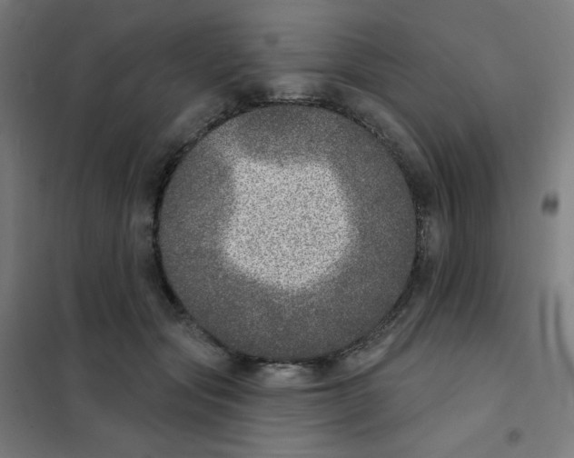 X0000101700557200808071201