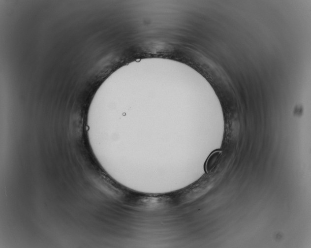 X0000101700558200808071202
