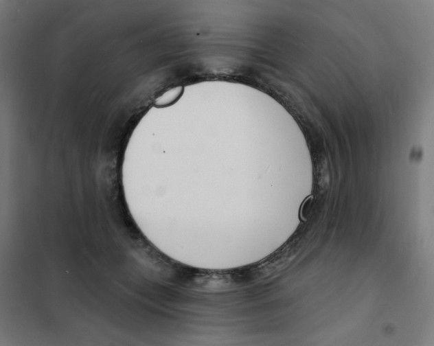 X0000101700559200808071202