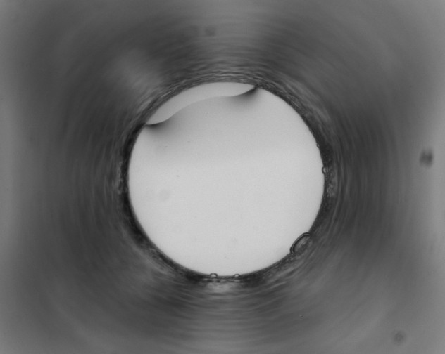X0000101700560200808071202