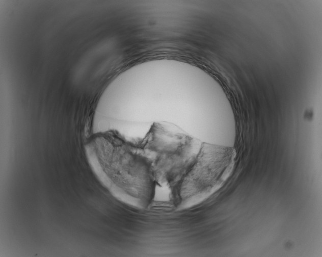 X0000101700561200808071202