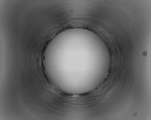 X0000101700562200808071202