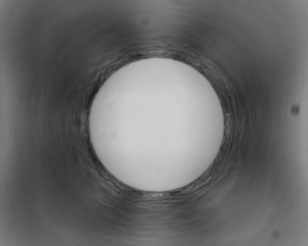 X0000101700563200808071202