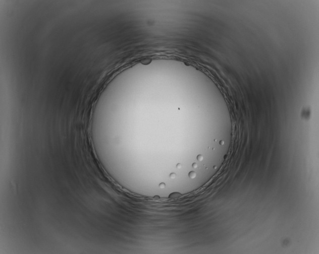 X0000101700564200808071202