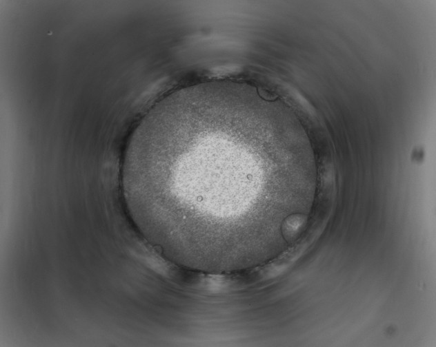 X0000101700565200808071202