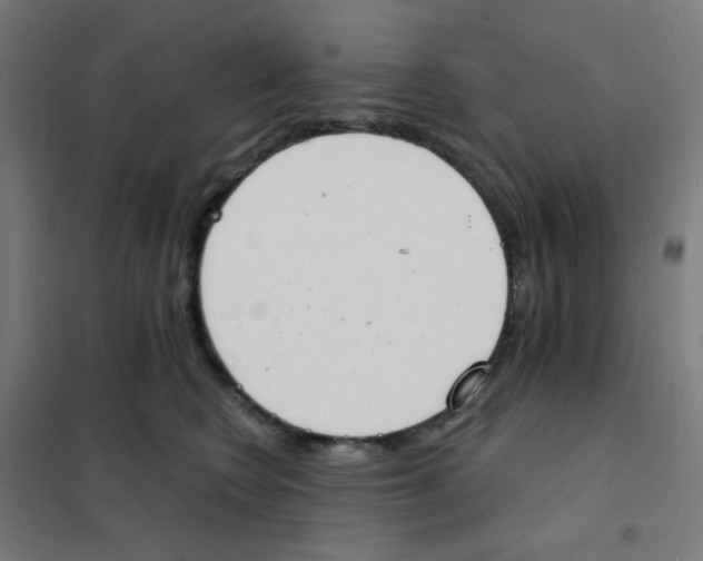 X0000101700566200808071202
