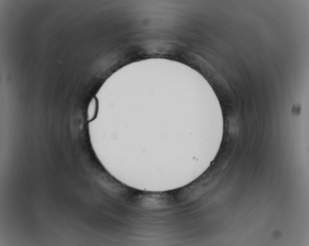 X0000101700567200808071202