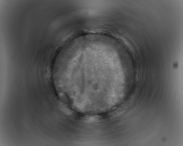 X0000101700569200808071202