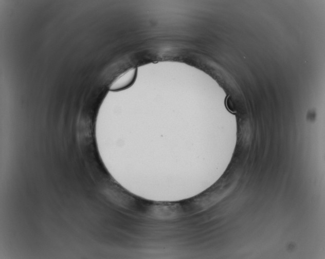 X0000101700571200808071202