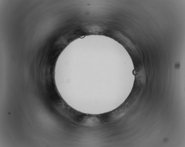 X0000101700572200808071202