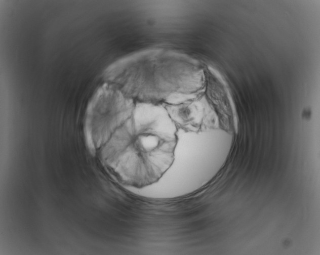 X0000101700573200808071202