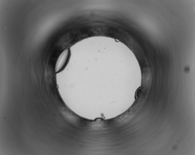 X0000101700574200808071202