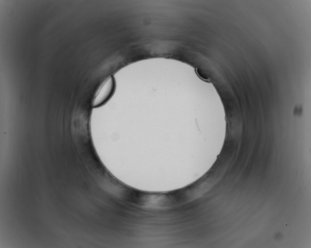 X0000101700575200808071202